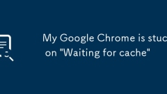 My Google Chrome is stuck on 'Waiting for cache'