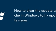 如何清除Windows中的更新緩存以解決更新問題