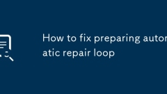 How to fix preparing automatic repair loop