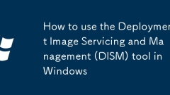 如何在Windows中使用部署圖像維修和管理(DIMS)工具