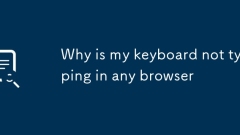 Why is my keyboard not typing in any browser