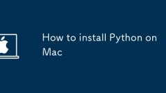 So installieren Sie Python auf Mac