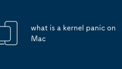 Qu'est-ce qu'une panique du noyau sur Mac
