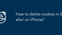 iPhone? Safari?? ??? ???? ??? ??????