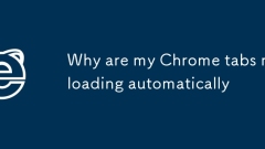 Chrome ?? ???? ?????? ??? ??????