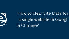 Comment effacer les données du site pour un seul site Web dans Google Chrome?