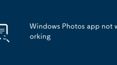 Aplikasi Foto Windows tidak berfungsi