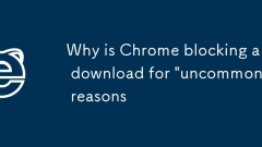 Pourquoi Chrome bloque-t-il un téléchargement pour des raisons 'rares'