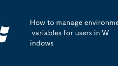 How to manage environment variables for users in Windows