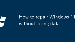 How to repair Windows 11 without losing data