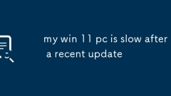 PC Win 11 saya perlahan selepas kemas kini baru -baru ini