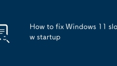 Cara Memperbaiki Windows 11 Permulaan Perlahan