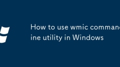 Windows?? WMIC ?? ? ????? ???? ??