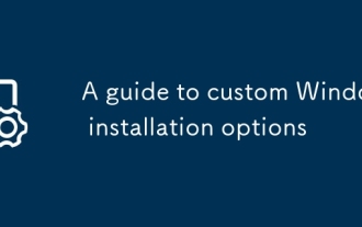 Eine Anleitung zu benutzerdefinierten Windows -Installationsoptionen