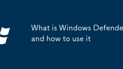 Was ist Windows Defender und wie man es benutzt?