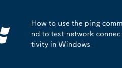 So verwenden Sie den Befehl ping, um die Netzwerkkonnektivit?t in Windows zu testen