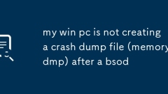 Mein Gewinn -PC erstellt nach einem BSOD keine Crash -Dump -Datei (memory.dmp)