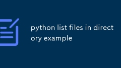 Fichiers de liste Python dans l'exemple de répertoire