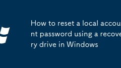 So setzen Sie ein lokales Kontokennwort mithilfe eines Wiederherstellungsantriebs in Windows zurück