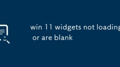 Gewinnen Sie 11 Widgets, die nicht geladen werden oder leer sind