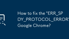 So beheben Sie 'Err_spdy_Protocol_error' in Google Chrome?