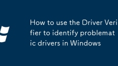 So verwenden Sie den Treiber -Verifizierer, um problematische Treiber in Windows zu identifizieren