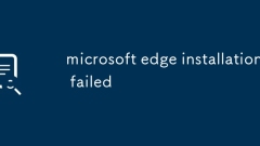 Die Installation von Microsoft Edge ist fehlgeschlagen