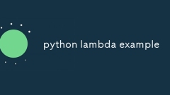 Exemple Python Lambda