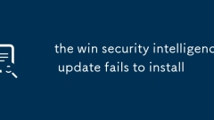 Das Update von Win Security Intelligence kann nicht installiert werden