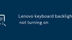 Hintergrundbeleuchtung der Lenovo -Tastatur schaltet sich nicht ein