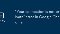 Ralat 'Sambungan Anda Tidak Peribadi' di Google Chrome