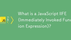 什么是JavaScript IIFE(立即调用函数表达式)?