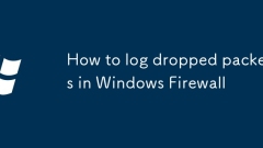 Wie man abgelegene Pakete in Windows Firewall protokolliert