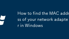 So finden Sie die MAC -Adresse Ihres Netzwerkadapters in Windows