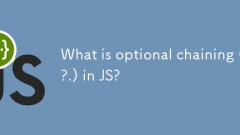 什么是JS中的可选链接(?)?