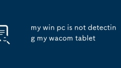 PC menang saya tidak mengesan tablet Wacom saya
