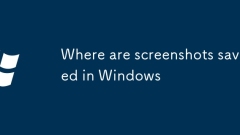 Wo werden Screenshots in Windows gespeichert