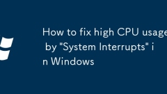 So reparieren Sie die hohe CPU -Verwendung durch 'System -Interrupts' in Windows