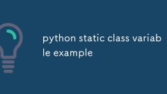 Exemple variable de classe statique Python