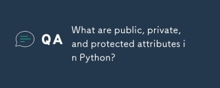 什麼是Python中的公共,私人和受保護的屬性?
