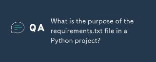 python項目中的需求。 txt文件的目的是什麼?