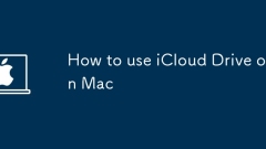 Mac?? iCloud ????? ???? ??