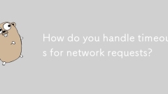 Wie behandeln Sie Zeitüberschreitungen für Netzwerkanfragen?