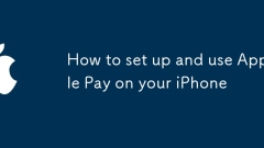 Comment configurer et utiliser Apple Pay sur votre iPhone