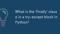 Was ist die 'endgültige' Klausel in einem Versuchsblock in Python?