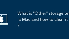 Qu'est-ce que 'l'autre' stockage sur un Mac et comment l'effacer?