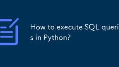 Wie führe ich SQL -Abfragen in Python aus?