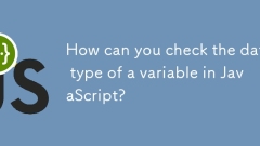 如何检查JavaScript中变量的数据类型?