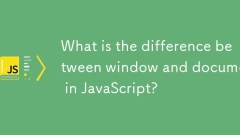JavaScript中的窗口和文档之间有什么区别?