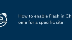 Cara Membolehkan Flash di Chrome untuk laman web tertentu